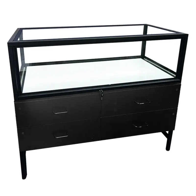 48" Luxury Showcase w/ Locking Storage & LED Lights - Black