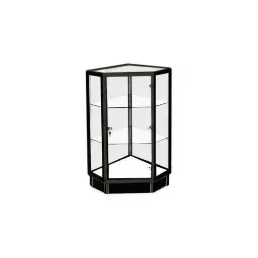 [SGCCX20B] Extra Vision Corner Filler w/ Locking Swing Door - Black